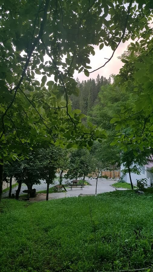 Отели типа «постель и завтрак» Villa Sataplia Цхалтубо