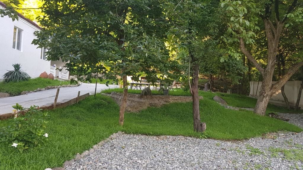 Отели типа «постель и завтрак» Villa Sataplia Цхалтубо