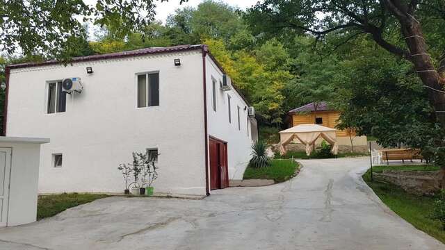 Отели типа «постель и завтрак» Villa Sataplia Цхалтубо-81